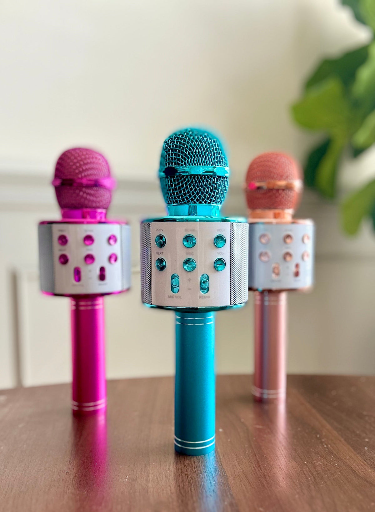 Rockstar Karaoke Microphone in Assorted Colors